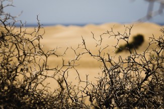 20281264656_b781d06e2d_h