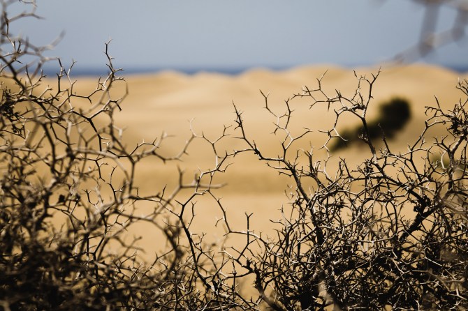 20281264656_b781d06e2d_h